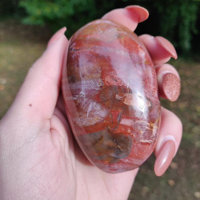 Petrified Wood Palm Stone (#3)