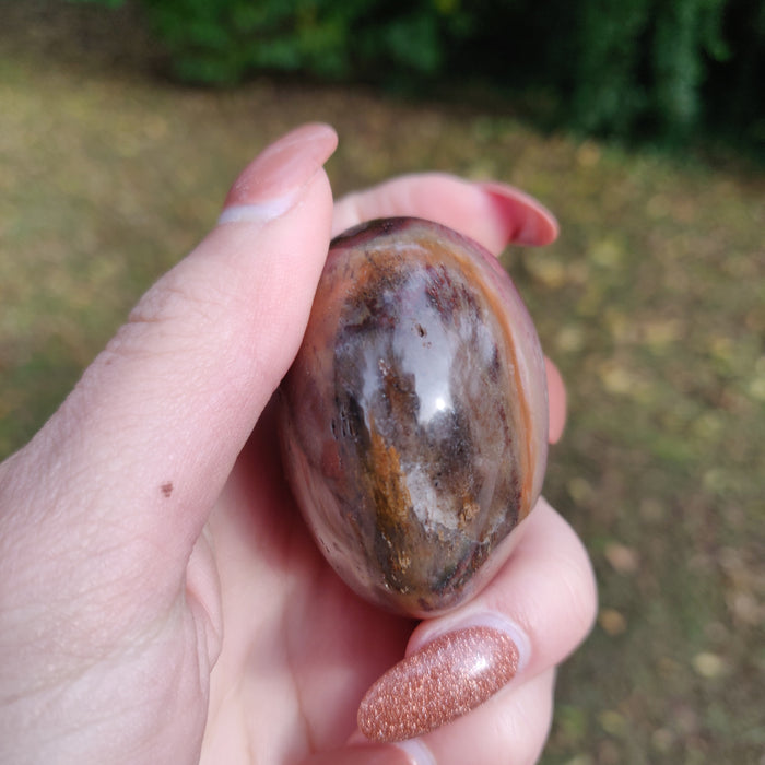 Petrified Wood Palm Stone (#8)