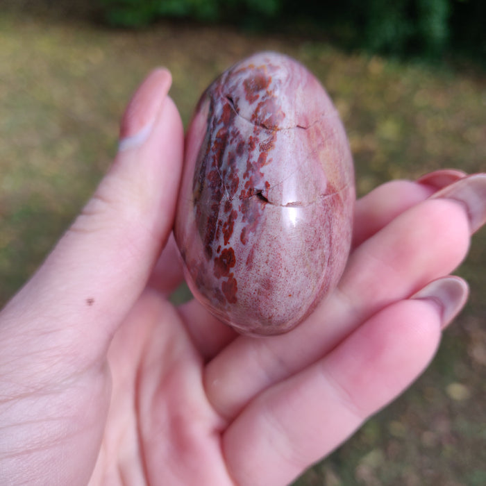 Petrified Wood Palm Stone (#8)