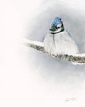 PRINT Resilience Blue Jay
