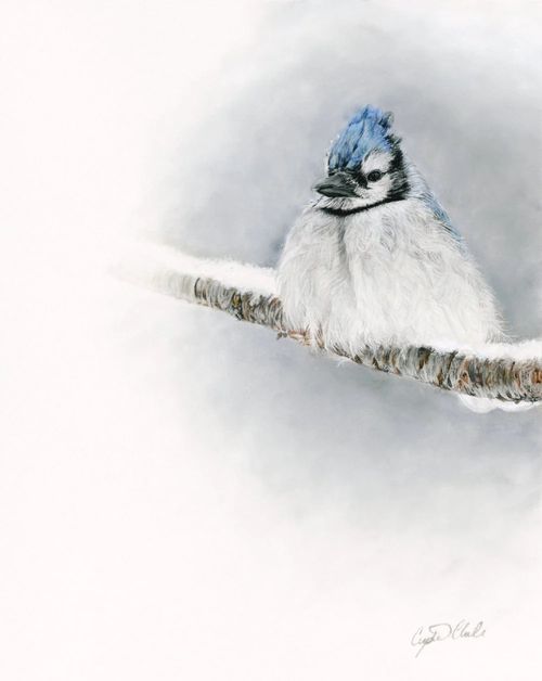 PRINT Resilience Blue Jay