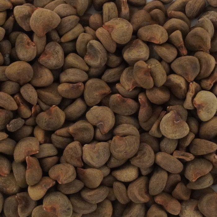 Red Roselle Seeds (Hibiscus sabdariffa)