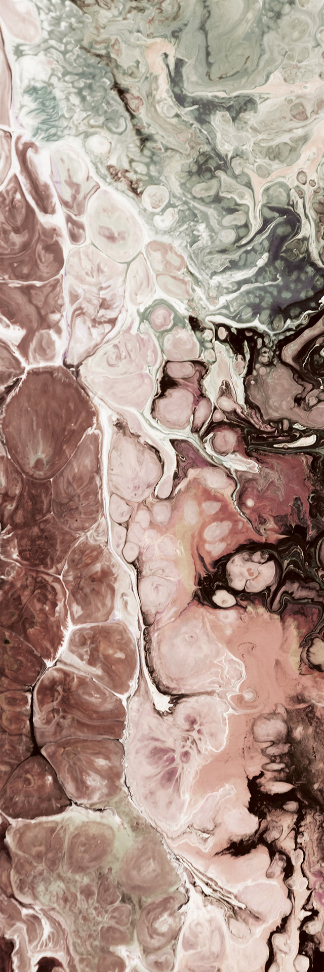 Sepia Elements