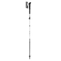Leki Pole Skytera FX Carbon SL Hiking - Trekking Poles  Mountain Equipment