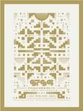 STS9 Asheville - 2019
