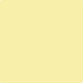 Shop the paint color 352 Sun City by Benjamin Moore at Anderson Paint Company in Ann Arbor, Michigan.