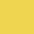 Shop the paint color 356 Sunny Afternoon by Benjamin Moore at Anderson Paint Company in Ann Arbor, Michigan.