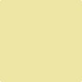 Shop the paint color 367 Sunny Side Up by Benjamin Moore at Anderson Paint Company in Ann Arbor, Michigan.