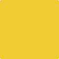 Shop the paint color 343 Sunrays by Benjamin Moore at Anderson Paint Company in Ann Arbor, Michigan.