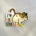 Tabby I'm a Star Sticker