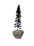 Tall Pine
