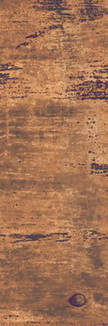 Tree Bark