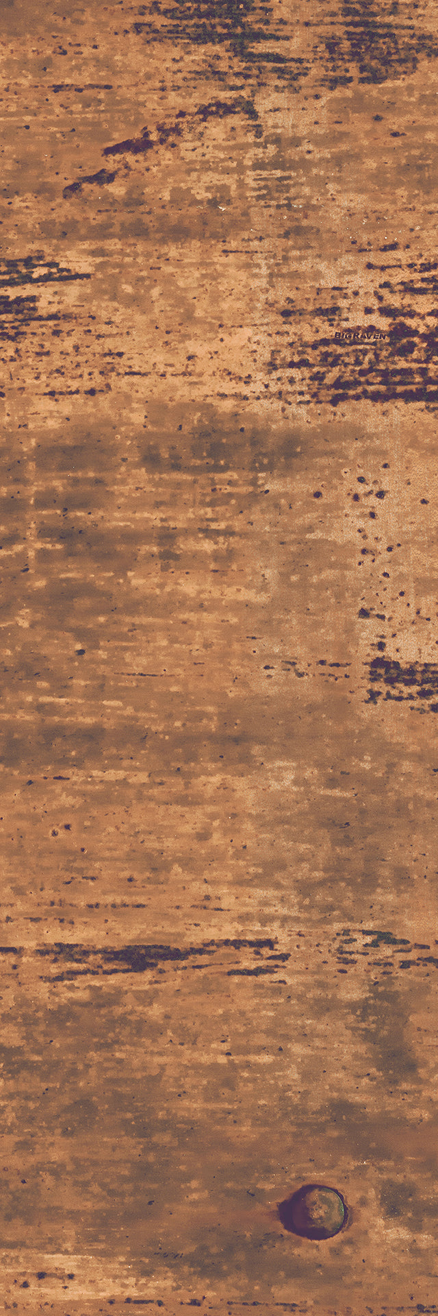 Tree Bark