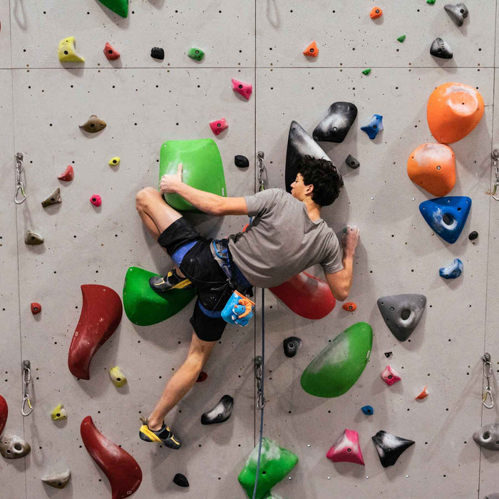 YandY Triceratops Rock Climbing Chalk Bag