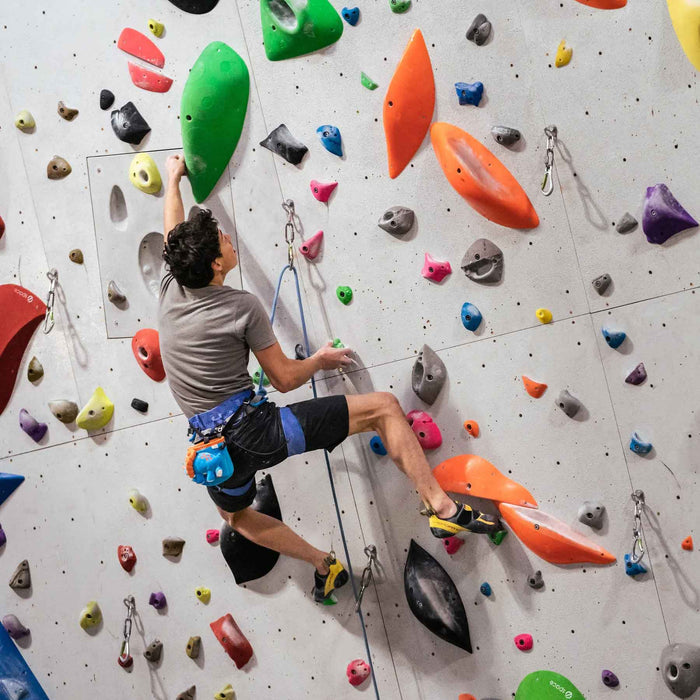 YandY Triceratops Rock Climbing Chalk Bag