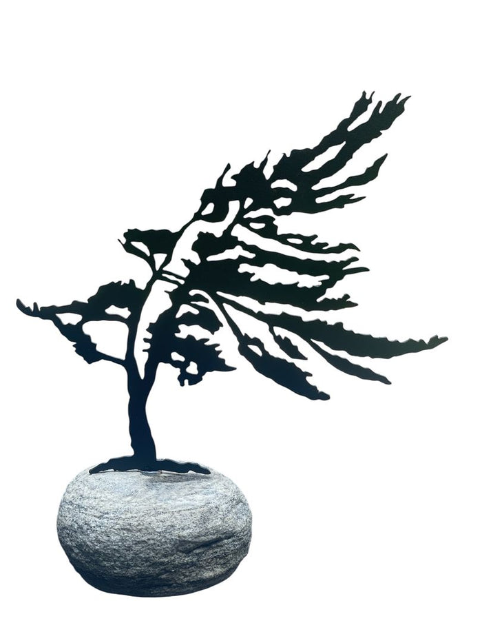 Windswept Pine