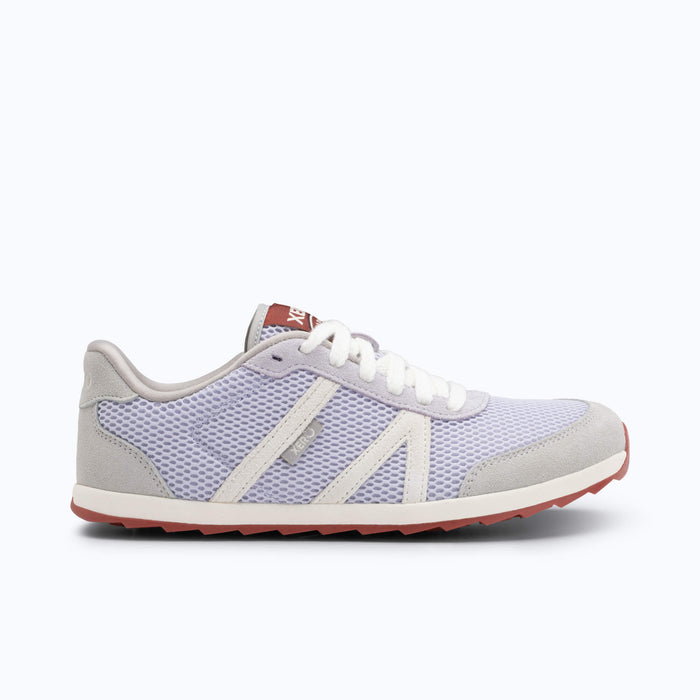 Lavender / 5