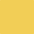 Shop the paint color 349 Yellow Brick Road by Benjamin Moore at Anderson Paint Company in Ann Arbor, Michigan.