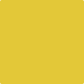 Shop the paint color 357 Yellow Hibiscus by Benjamin Moore at Anderson Paint Company in Ann Arbor, Michigan.