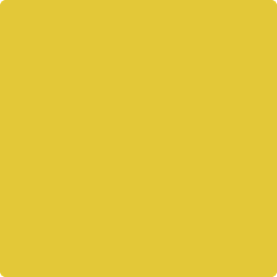 Shop the paint color 357 Yellow Hibiscus by Benjamin Moore at Anderson Paint Company in Ann Arbor, Michigan.