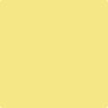Shop the paint color 353 Yellow Roses by Benjamin Moore at Anderson Paint Company in Ann Arbor, Michigan.