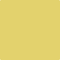 Shop the paint color 370 Yellow Tone by Benjamin Moore at Anderson Paint Company in Ann Arbor, Michigan.