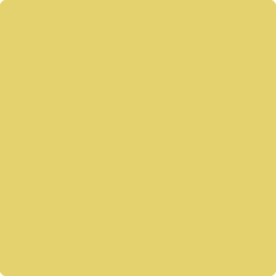 Shop the paint color 370 Yellow Tone by Benjamin Moore at Anderson Paint Company in Ann Arbor, Michigan.
